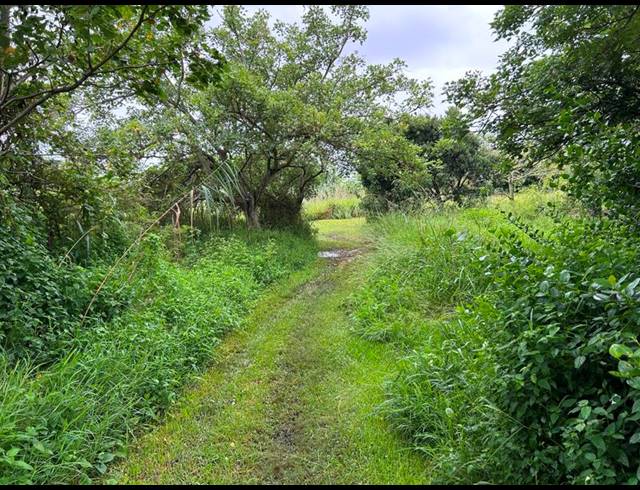 LAND FOR SALE IN ZINI RIVER ESTATE